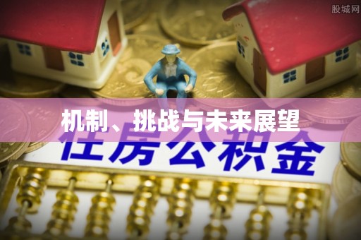 尖草坪机制、挑战与未来展望